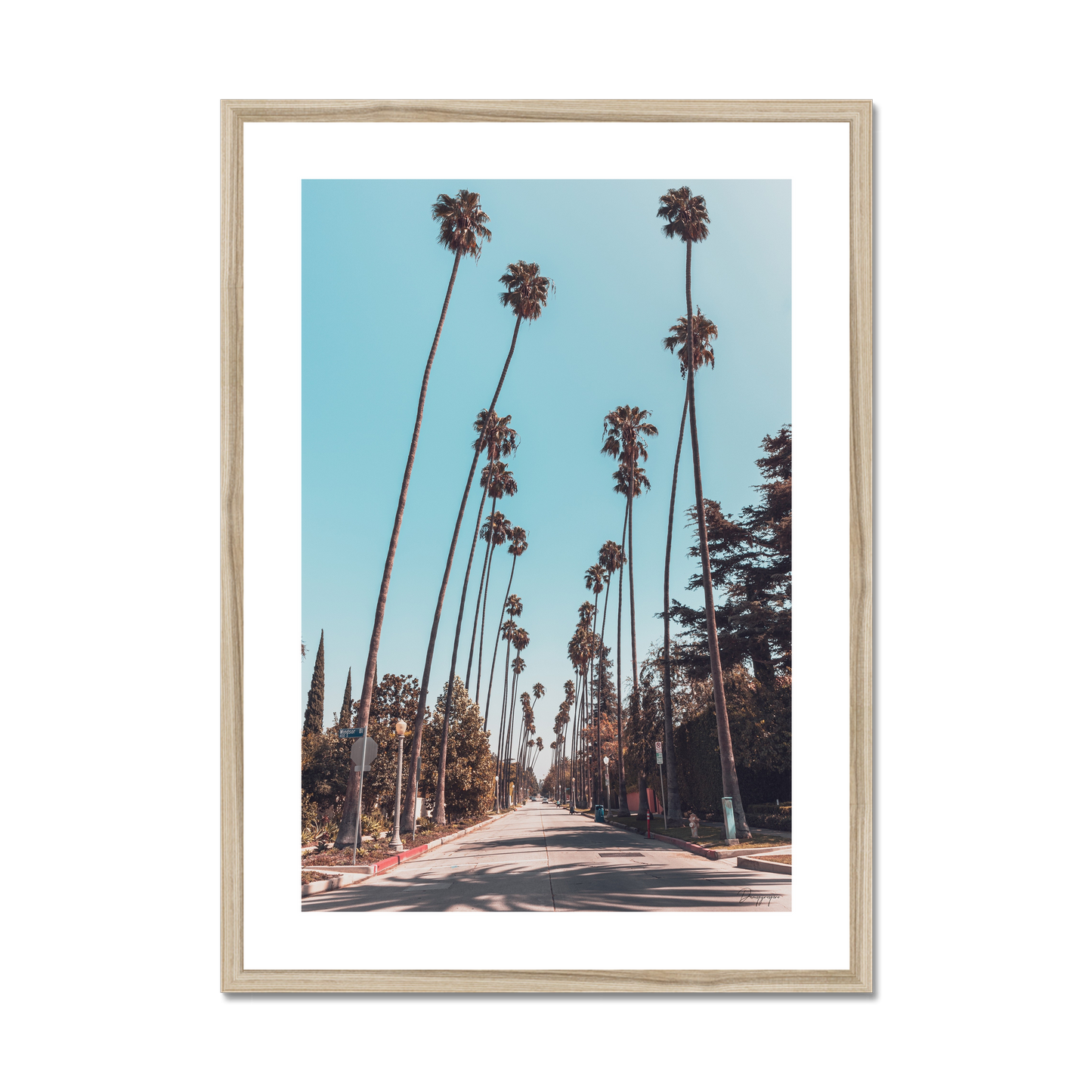 Hollywood Neighbors - Framed Art