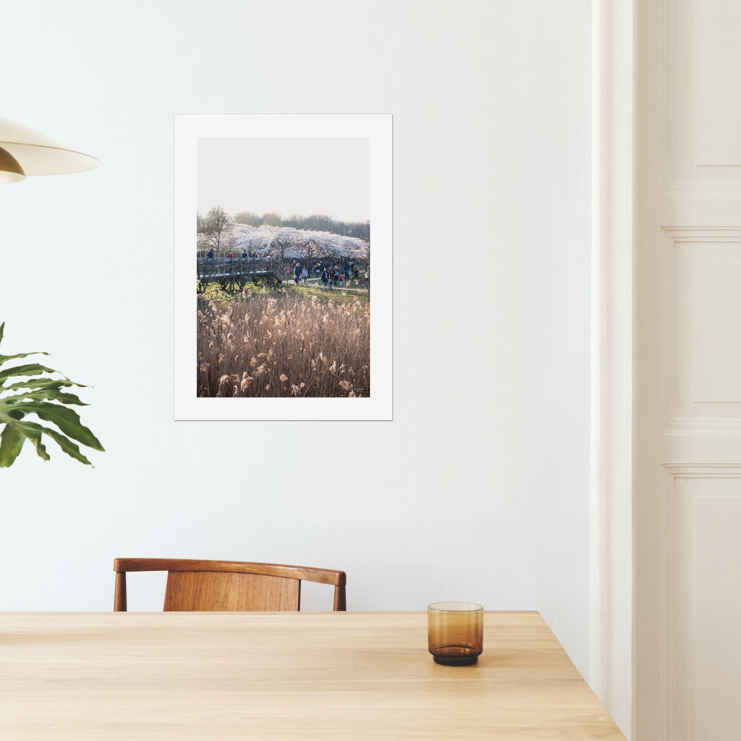 Cherry Blossom - Poster
