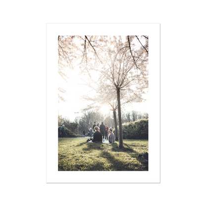 Blooming Spring - Poster