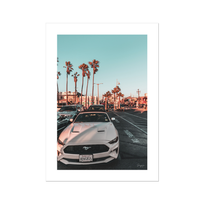 American Muscle - Poster