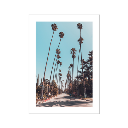 Hollywood Neighbors - Poster